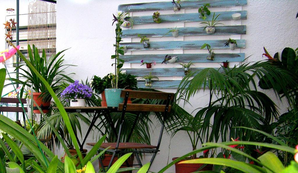 Apartamentos Calypso プンタ・ウンブリア エクステリア 写真